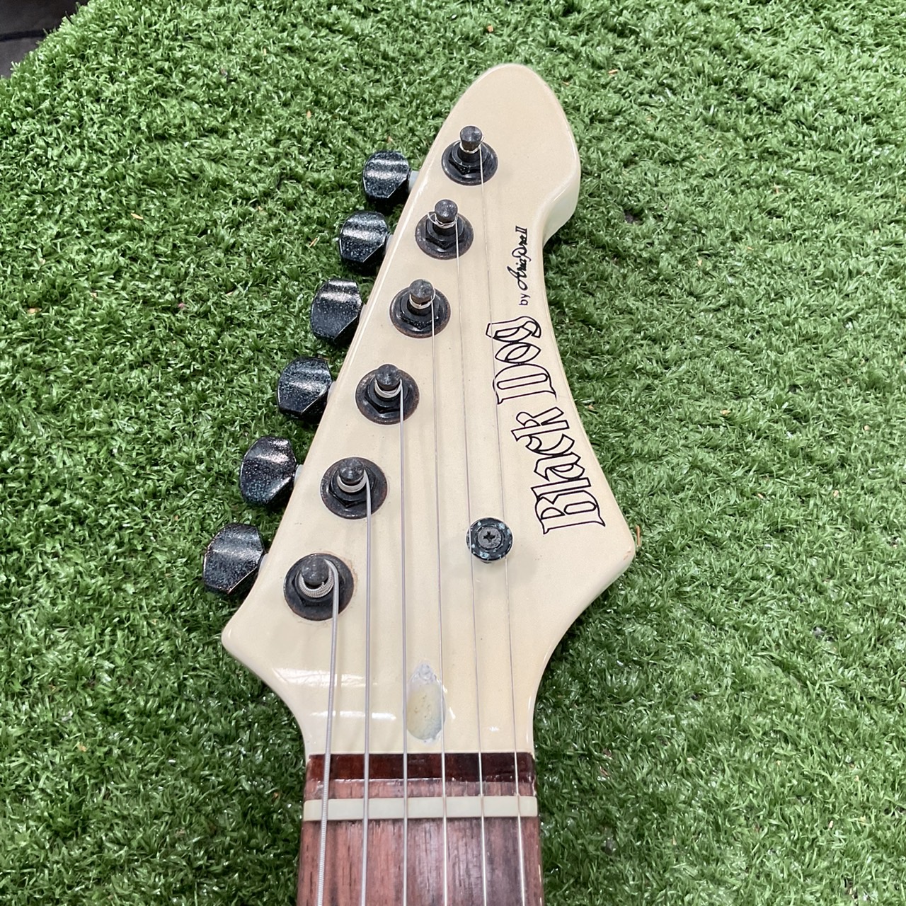 กีต้าร์ไฟฟ้า BLACK DOG : BY ARI PRO II