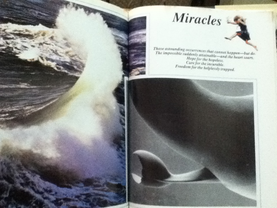 The Joy of LIFE/ Philip B. Kunhardt Jr.