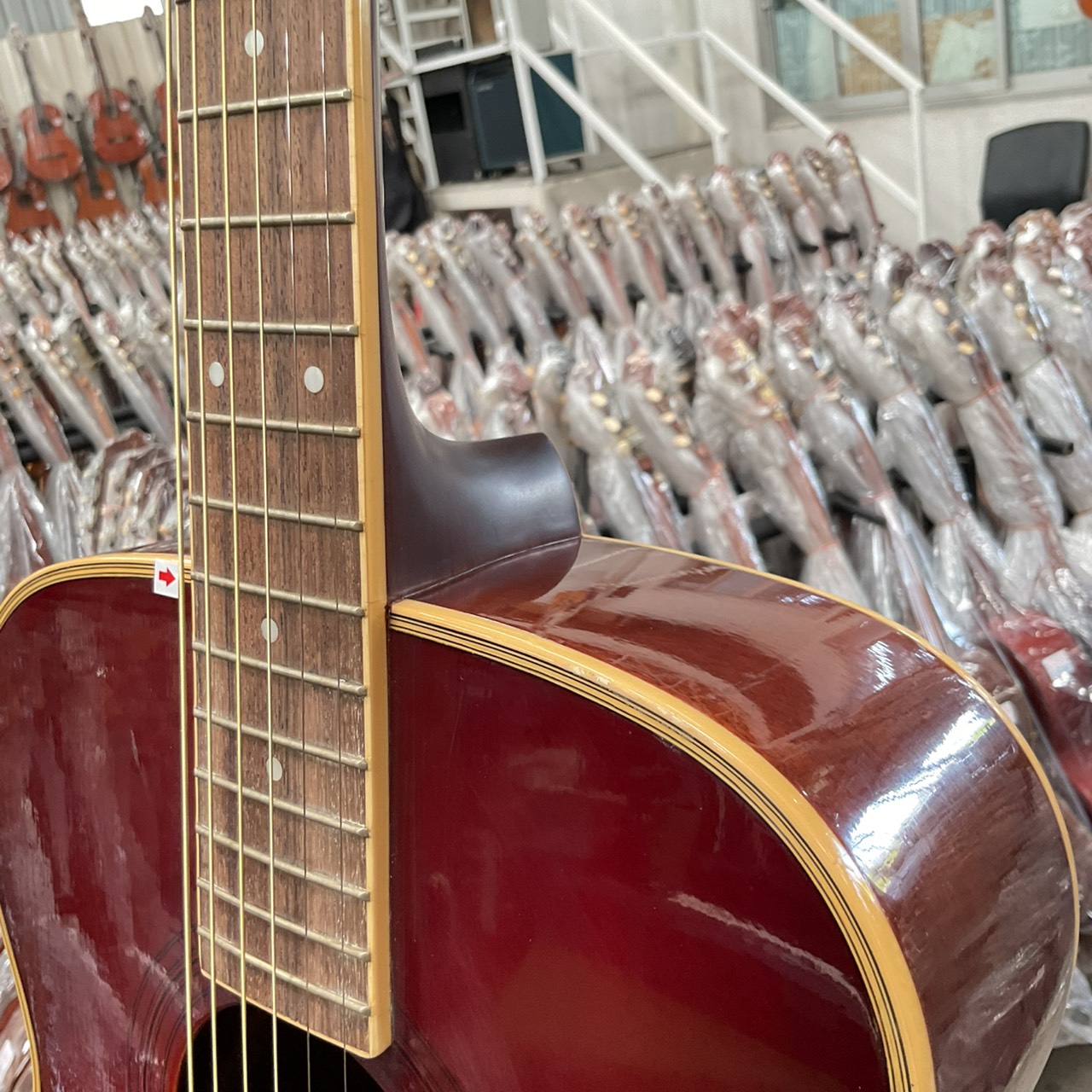 กีต้าร์โปร่ง Morris : MF-207