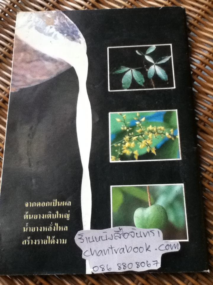 หลักสูตรสวนยางพ้นการสงเคราะห์