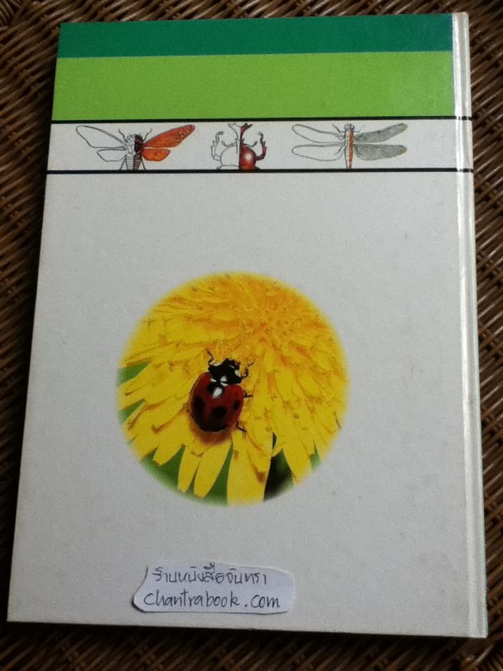หนังสือชุดความรู้เบื้องต้นสำหรับเด็ก โลกของแมลง