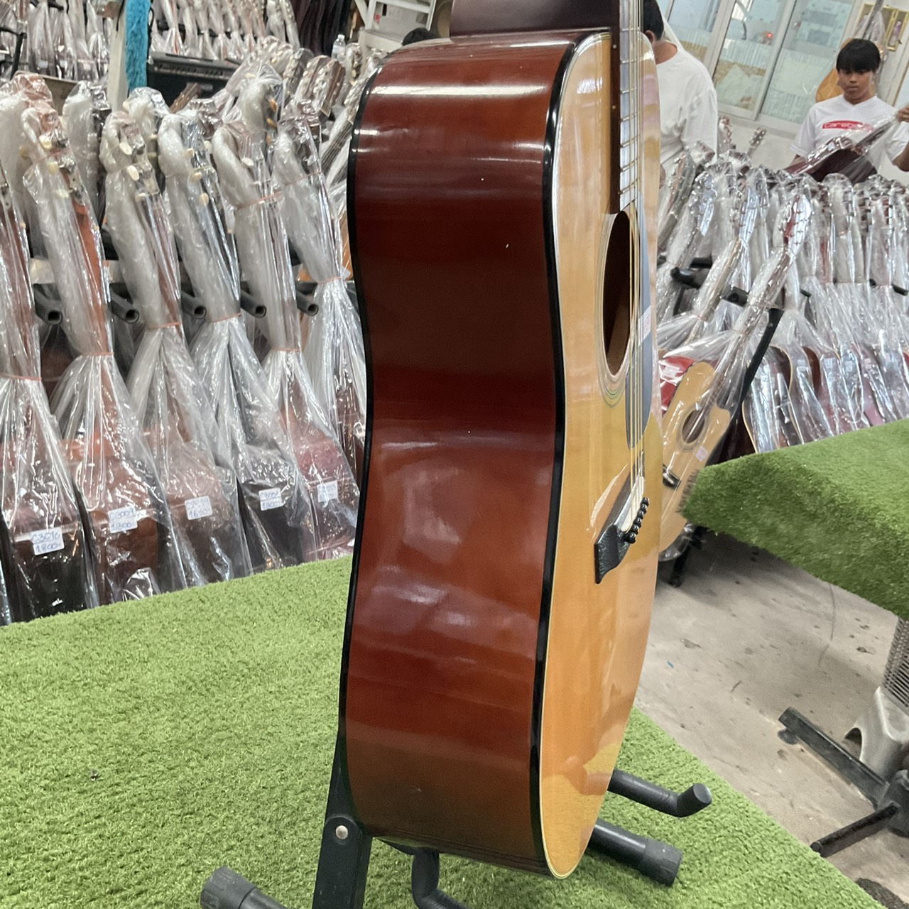 กีต้าร์โปร่ง Morris : MD-501