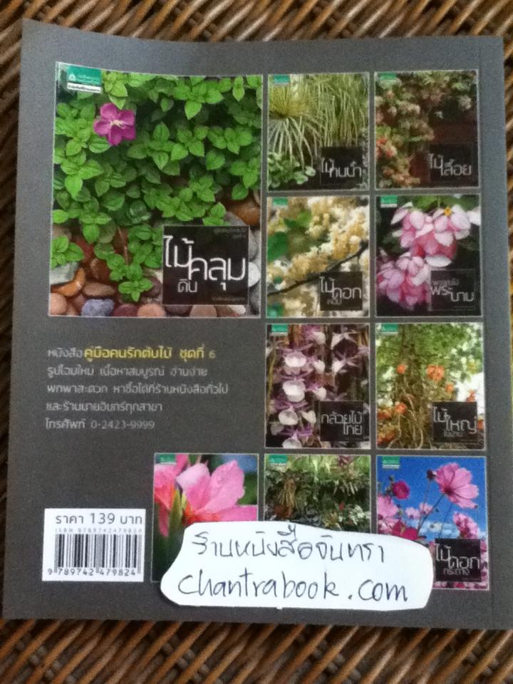 ไม้คลุมดิน/ ธิวลักษณ์ บุนนาค