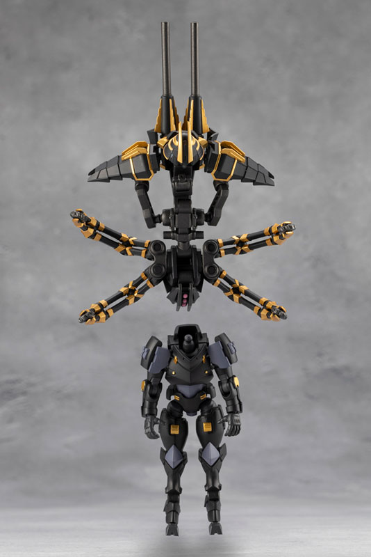 Hexa Gear GOVERNOR PARA-PAWN ENCLOSURE 1/24 Kit Block(Pre-order)