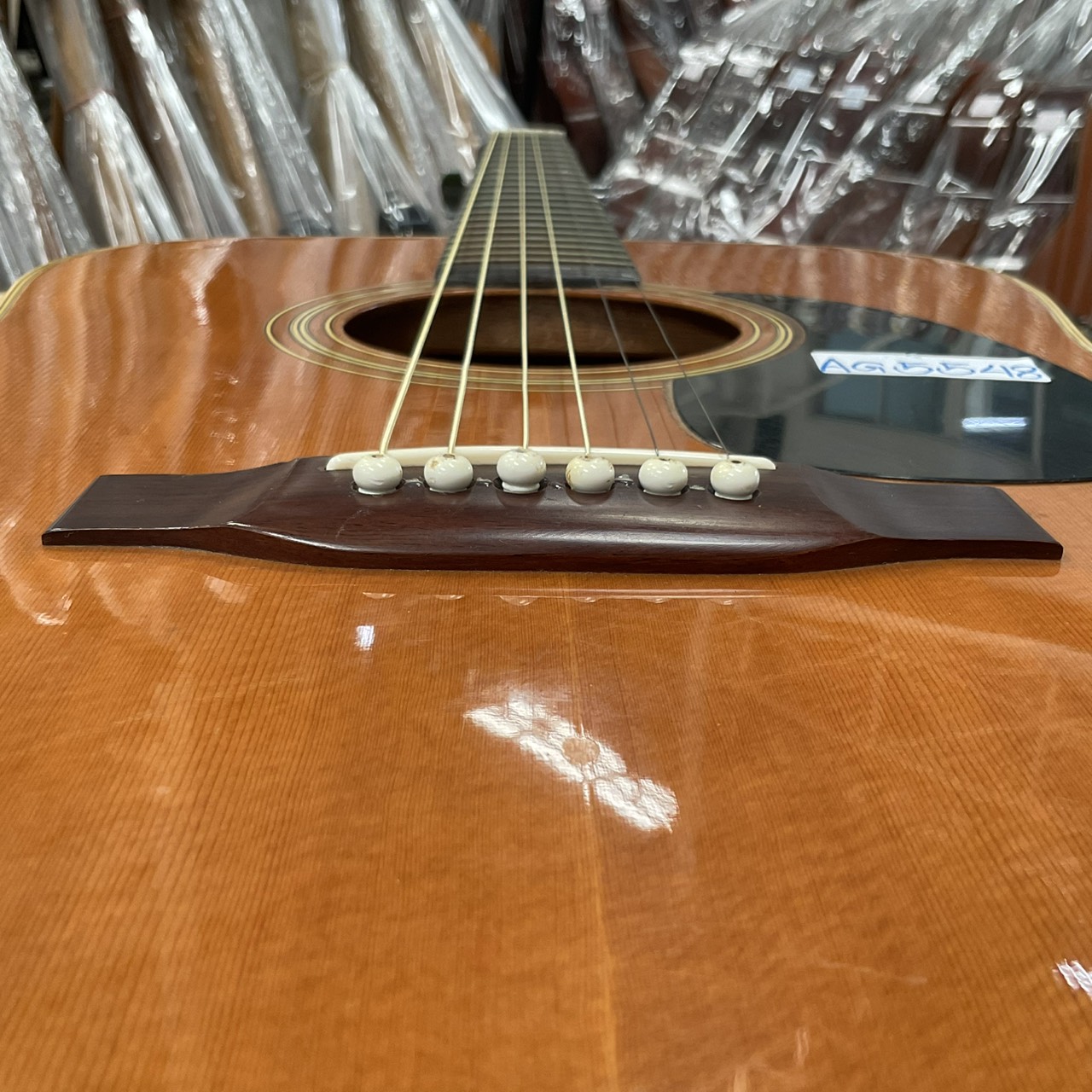 กีต้าร์โปร่ง Morris : W-18