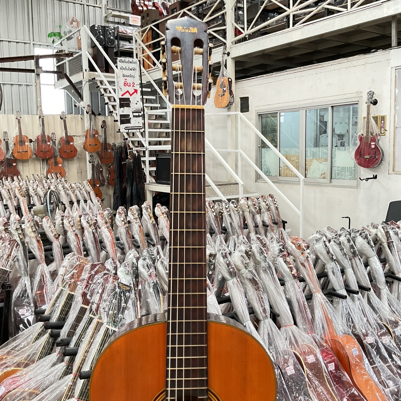 กีต้าร์คลาสสิค YAMAHA : G-50