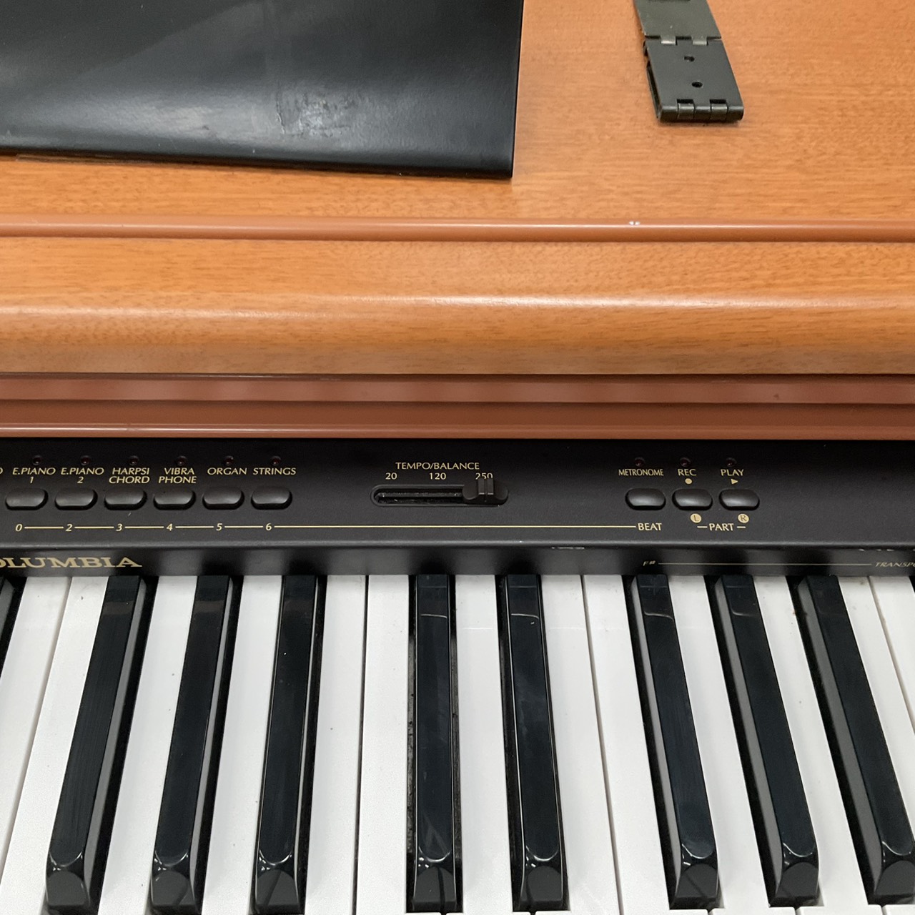 เปียโน COLUMBIA : ELEPIAN EP-02