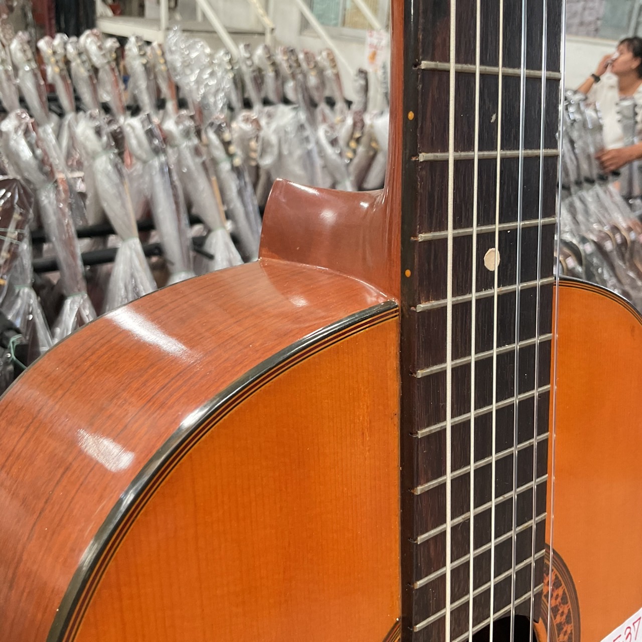 กีต้าร์คลาสสิค TOKAI : L-60