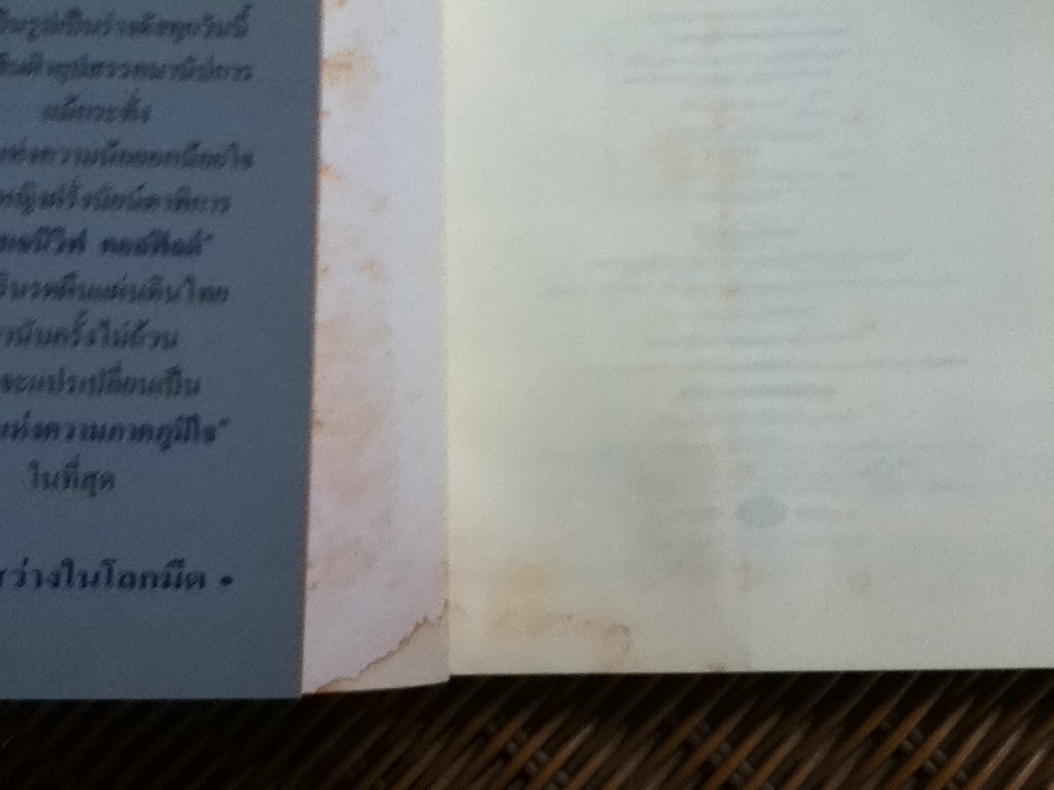 แสงสว่างในโลกมืด/ นฤมล จันทรากูล