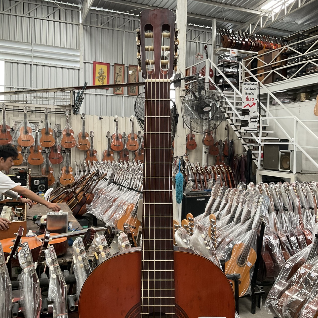 กีต้าร์คลาสสิค SUZUKI : C-10