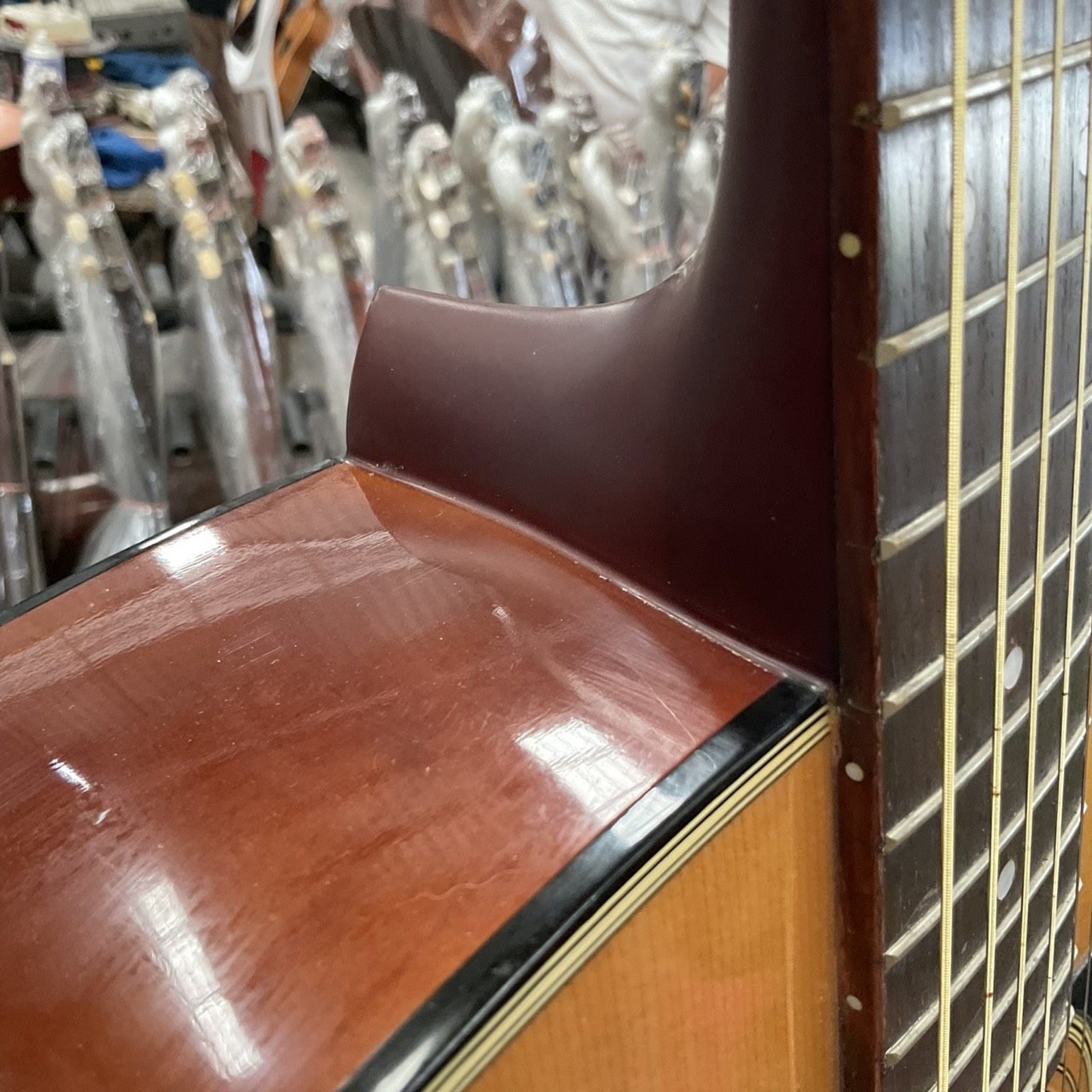 กีต้าร์โปร่ง Morris : MD-501