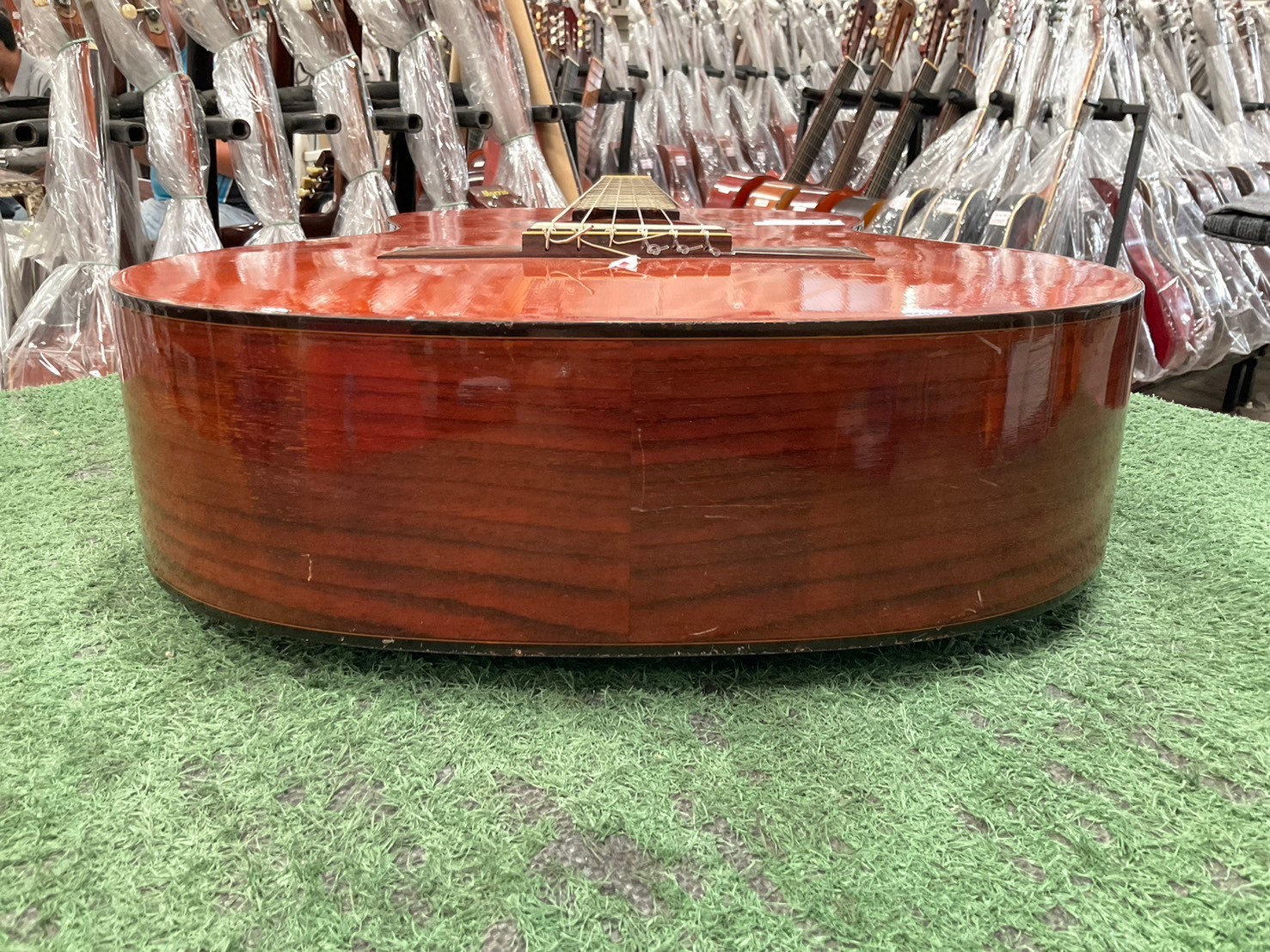 กีต้าร์คลาสสิค SUZUKI : C-13