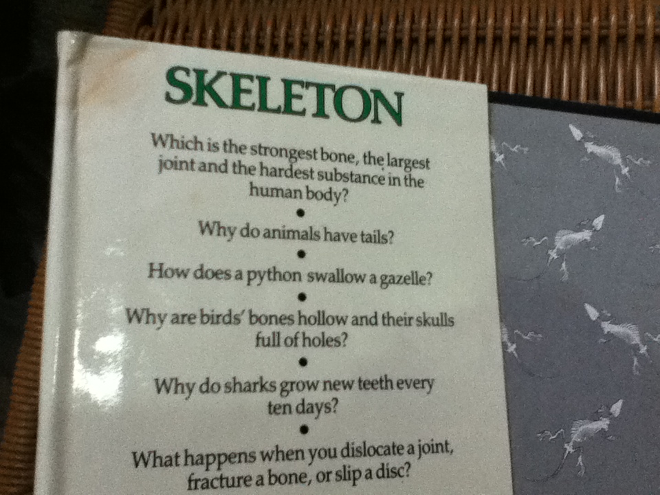 EYEWITNESS GUIDES 9 เล่ม