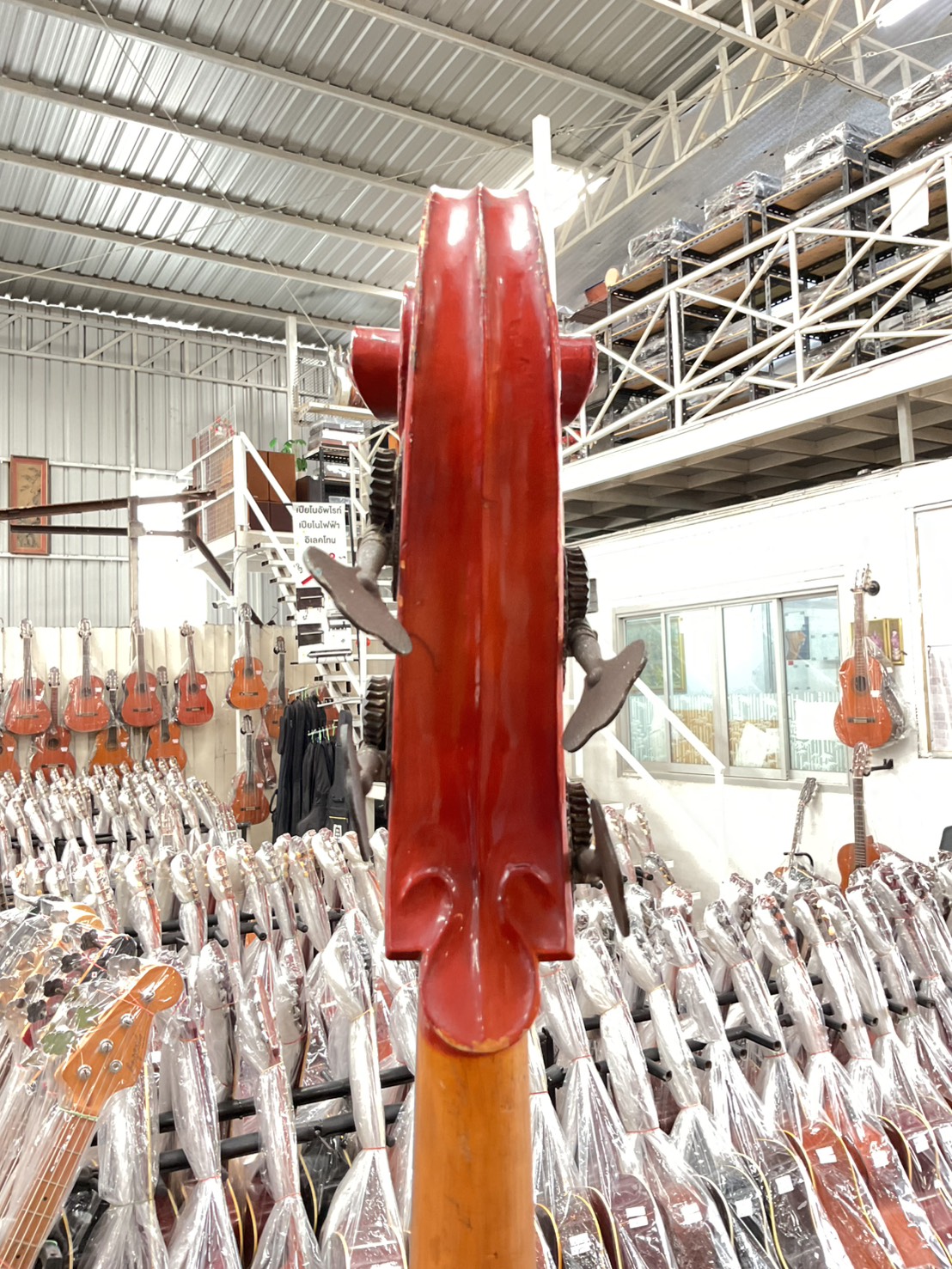 ไวโอลิน Double Bass