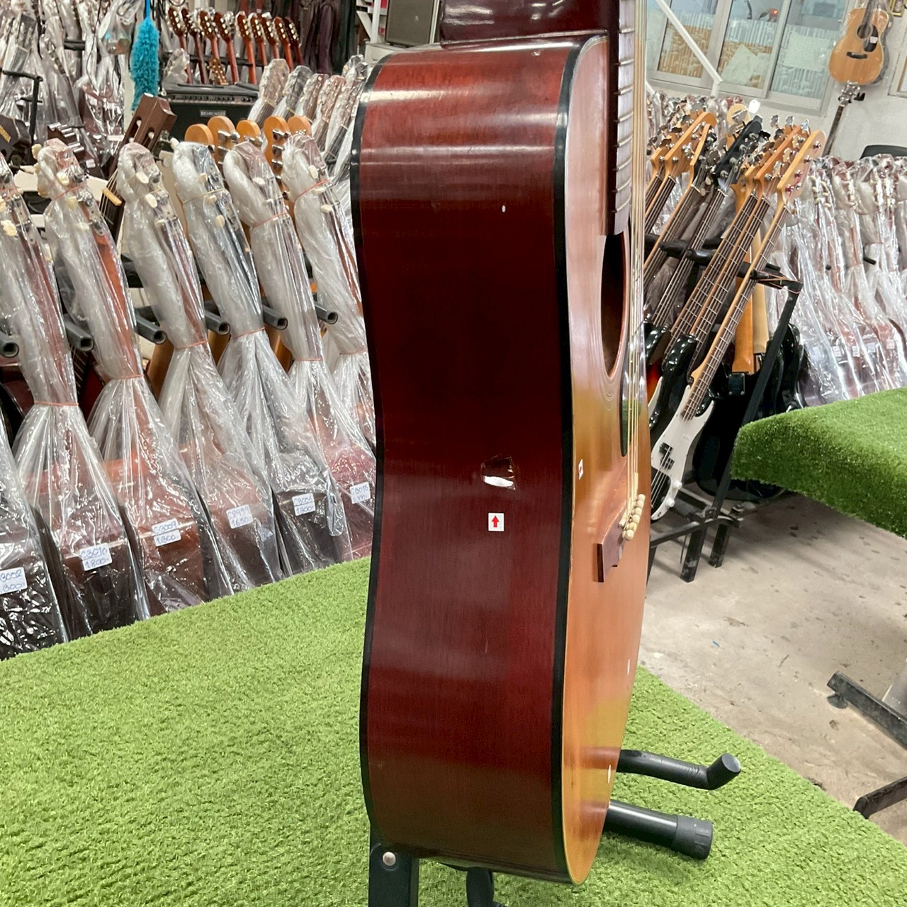 กีต้าร์โปร่ง Ariana : A790