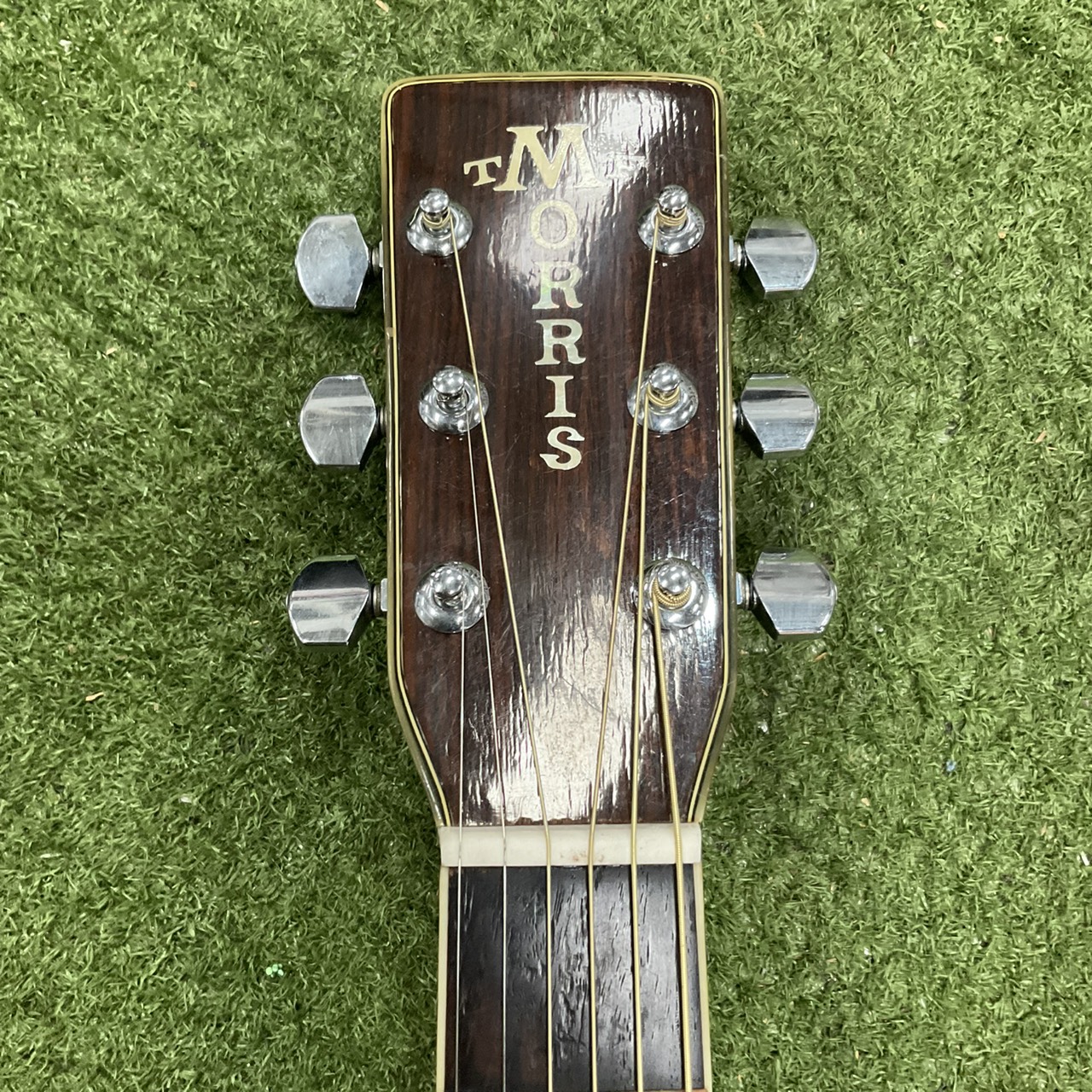กีต้าร์โปร่ง Morris : W-50 (สำหรับมือซ้าย)