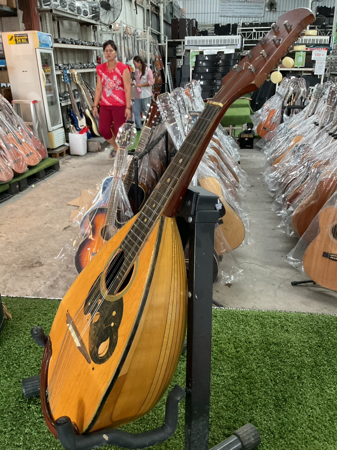 แมนโดลิน Suzuki : No.190