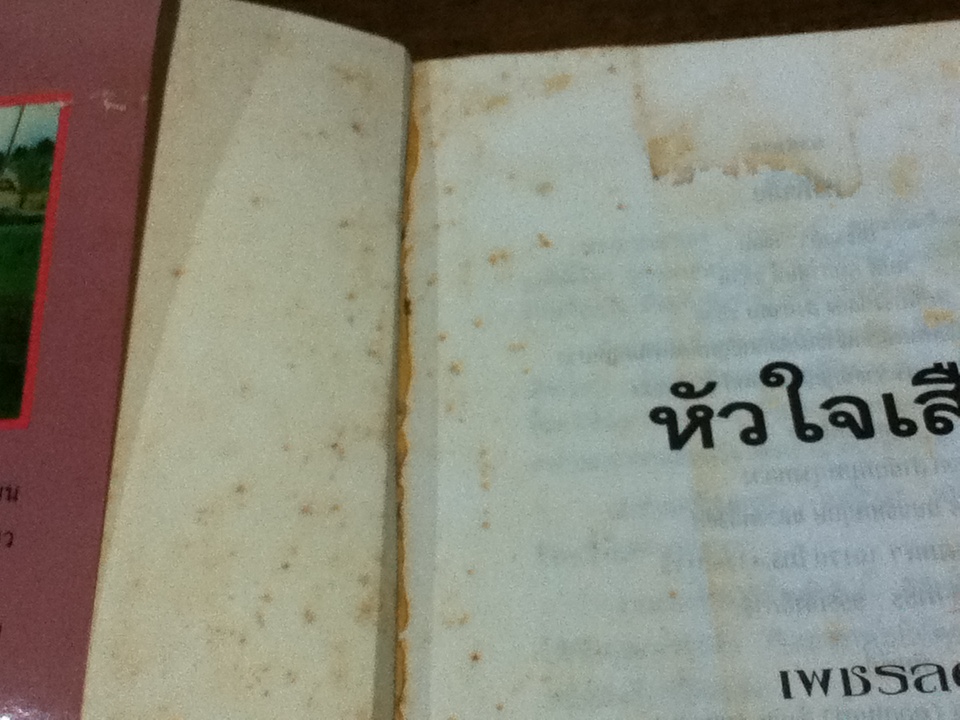 หัวใจเสือ/ เพชรลดา