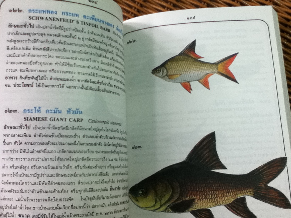 ภาพปลาและสัตว์น้ำของไทย/ สมโภชน์ อัคคะทวีวัฒน์
