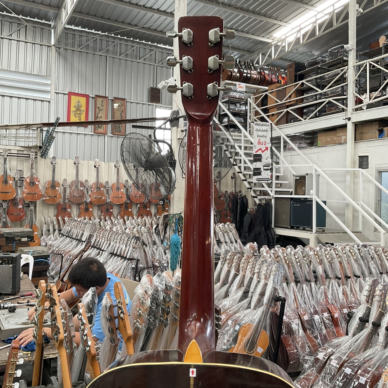 กีต้าร์โปร่ง Morris : W-20