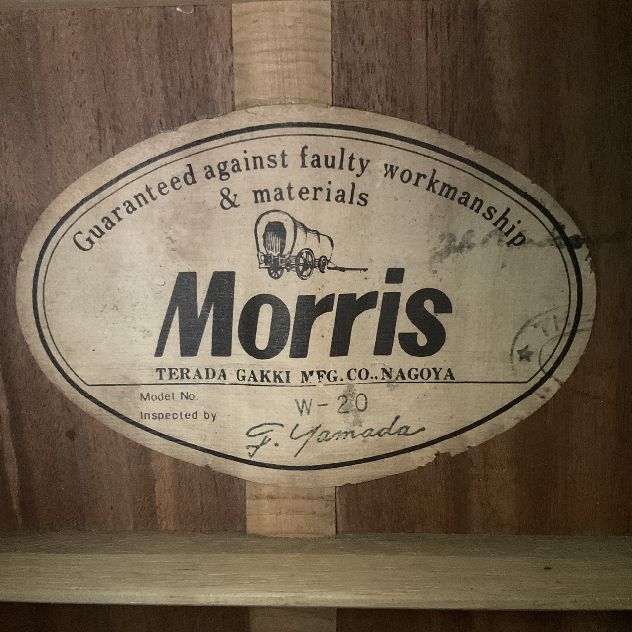 กีต้าร์โปร่ง Morris : W-20 (สำหรับมือซ้าย)