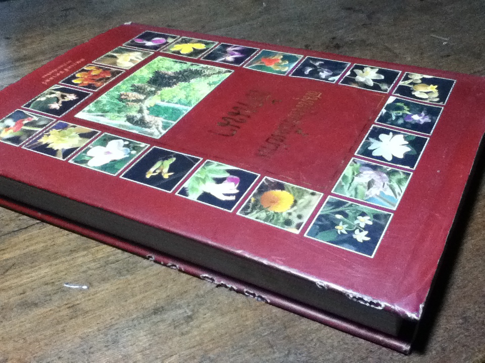 สมุนไพรพื้นบ้านล้านนา จัดพิมพ์เพื่อน้อมรำลึกถึงพระกรุณาธิคุณในสมเด็จพระศรีนครินทราบรมราชชนนี