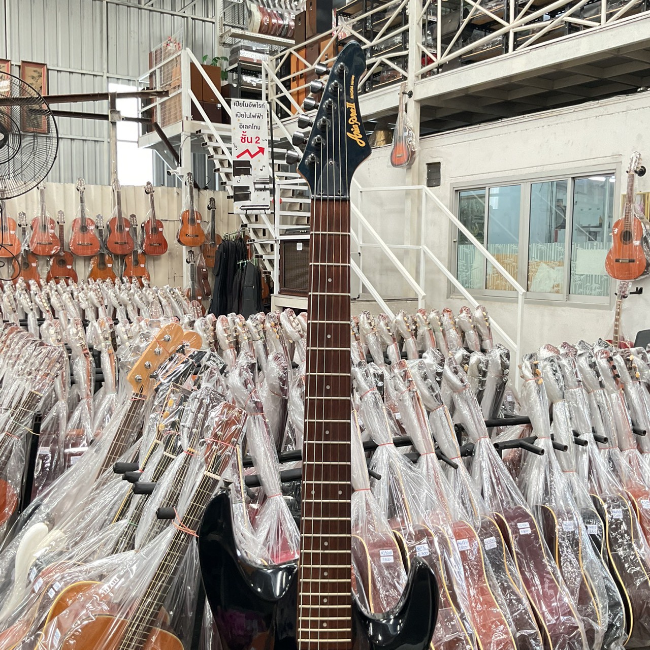 กีต้าร์ไฟฟ้า Aria Pro II : MAGNA