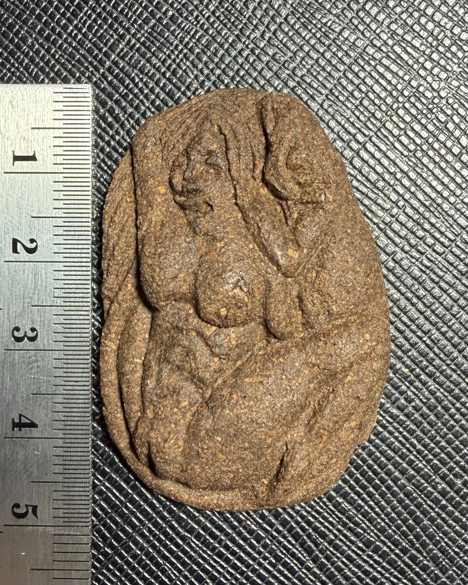 นางจิ้งจกเสน่ห์ Lady Gecko. SKU-03541