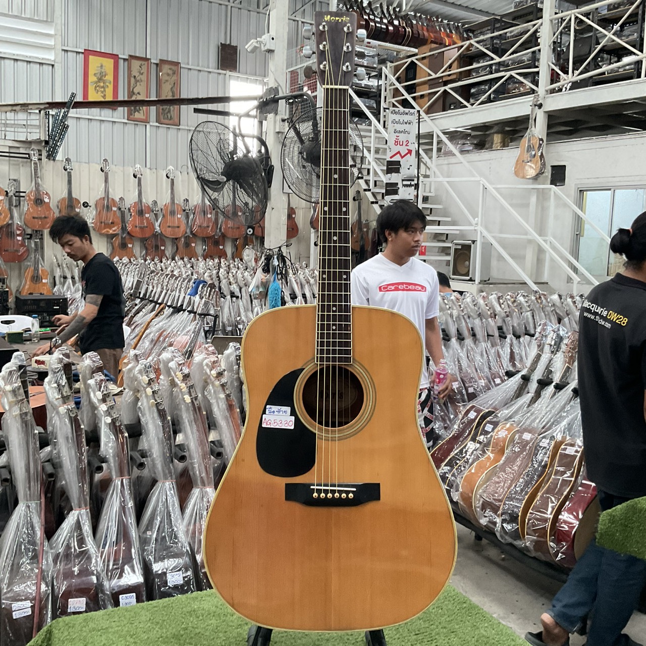 กีต้าร์โปร่ง Morris : W-20 (สำหรับมือซ้าย)