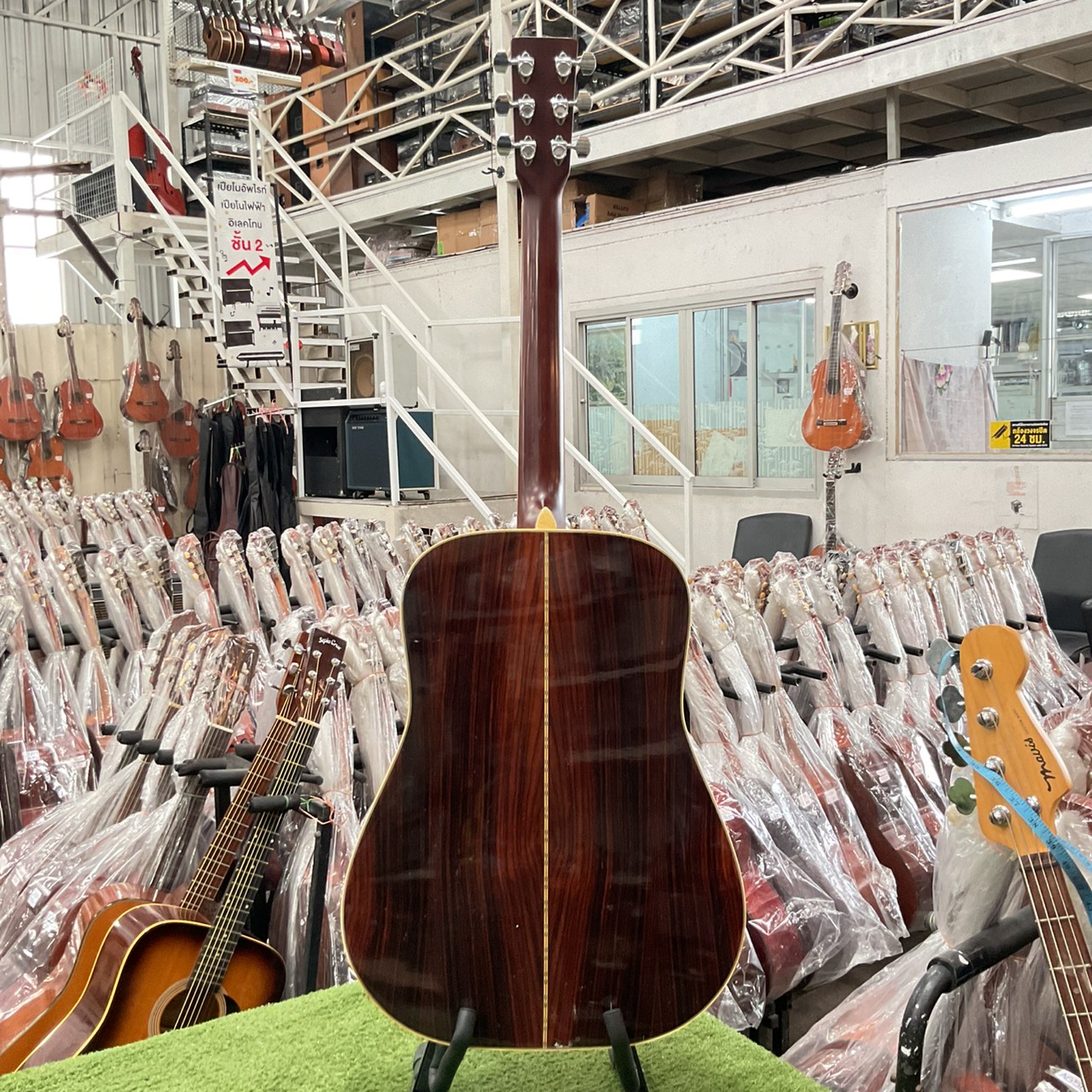 กีต้าร์โปร่ง Morales : LYRE BIRD