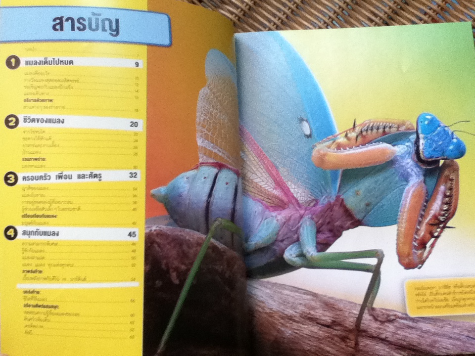 NATIONAL GEOGRAPHIC KIDS ชุด รู้ไปหมด เรื่องแมลง, เรื่องอวกาศ, เรื่องอียิปต์โบราณ และเรื่องไดโนเสาร์ รวม 4 เล่ม