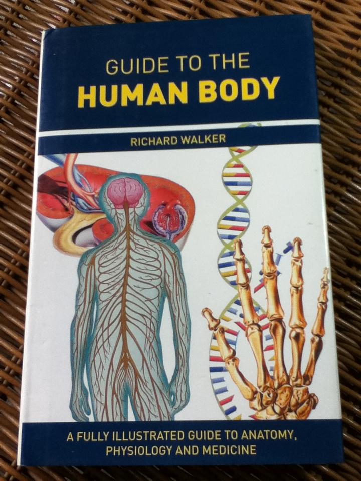 GUIDE TO THE HUMAN BODY/ Richard Walker