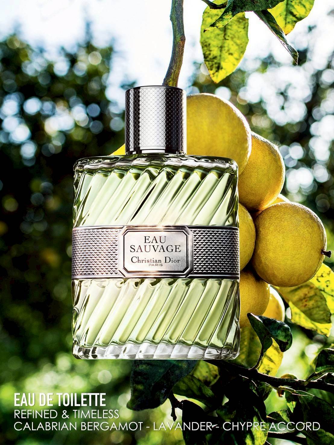 DIOR EAU SAUVAGE EAU DE TOILETTE 100 ml