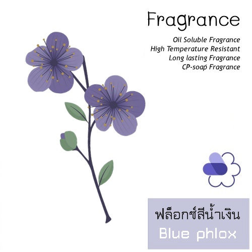 Blue phlox หัวน้ำมันหอม ฟล็อกซ์สีน้ำเงิน soft green and cooling กลิ่นฟุ้งเย็นสดชื่นของป่าสน เจือกลิ่นดอกไม้และเปลือกไม้ นุ่มละมุ่นให้ความรู้สึกสงบและเติมพลัง ละลายในแอกอฮอล์และน้ำมัน- ทนความร้อนสูง ไม่เร่งเทรซ COA