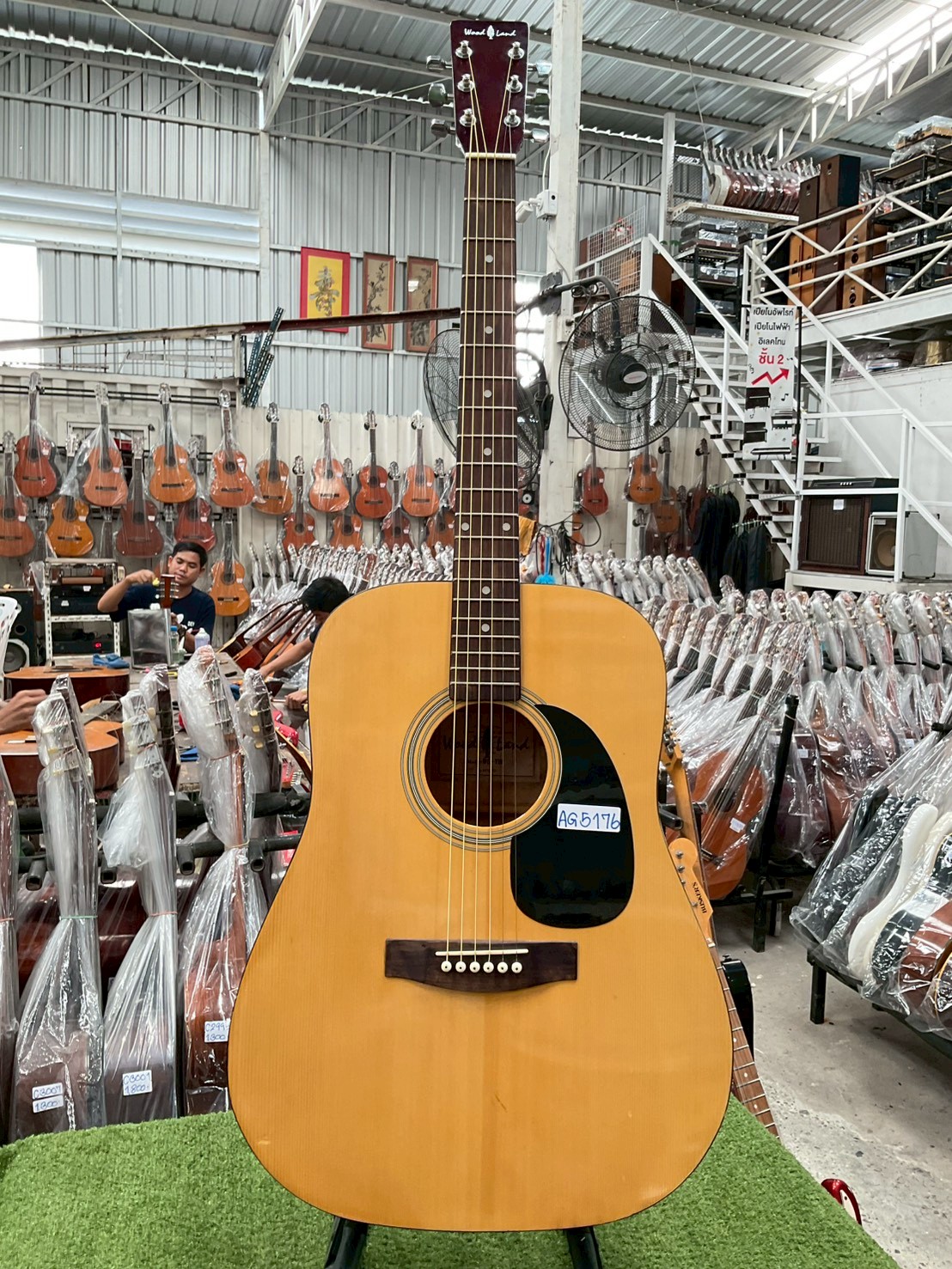 กีต้าร์โปร่ง Wood Land : WD-11N