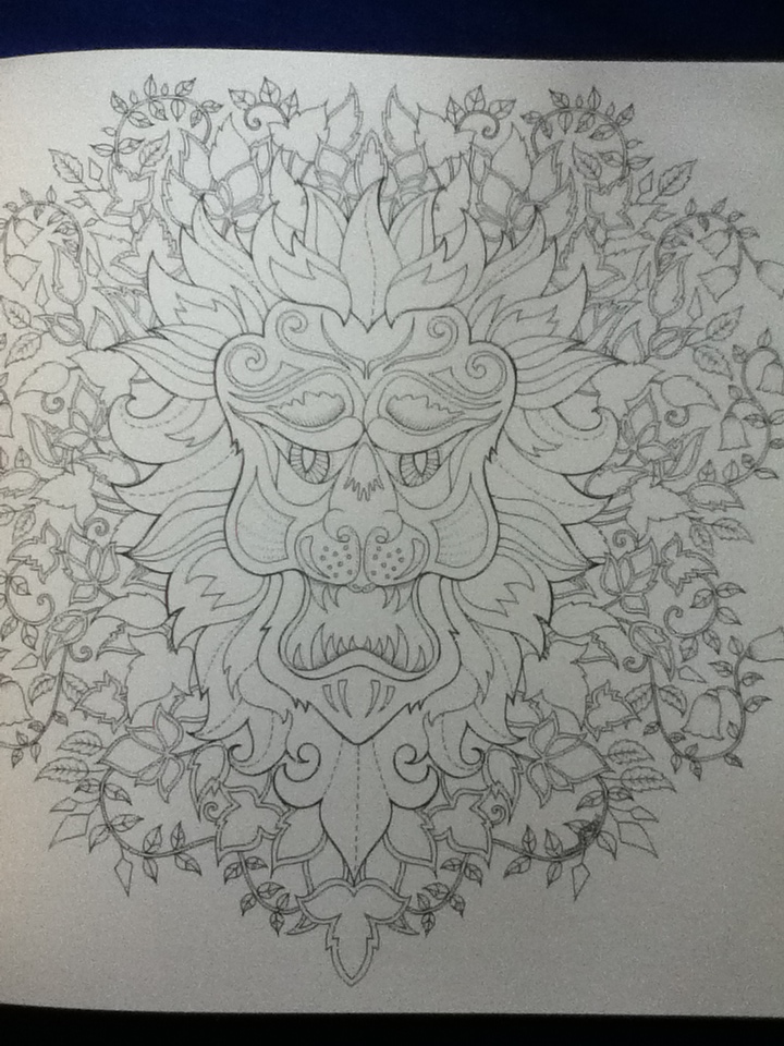 ป่าต้องมนตร์ Enchanted Forest