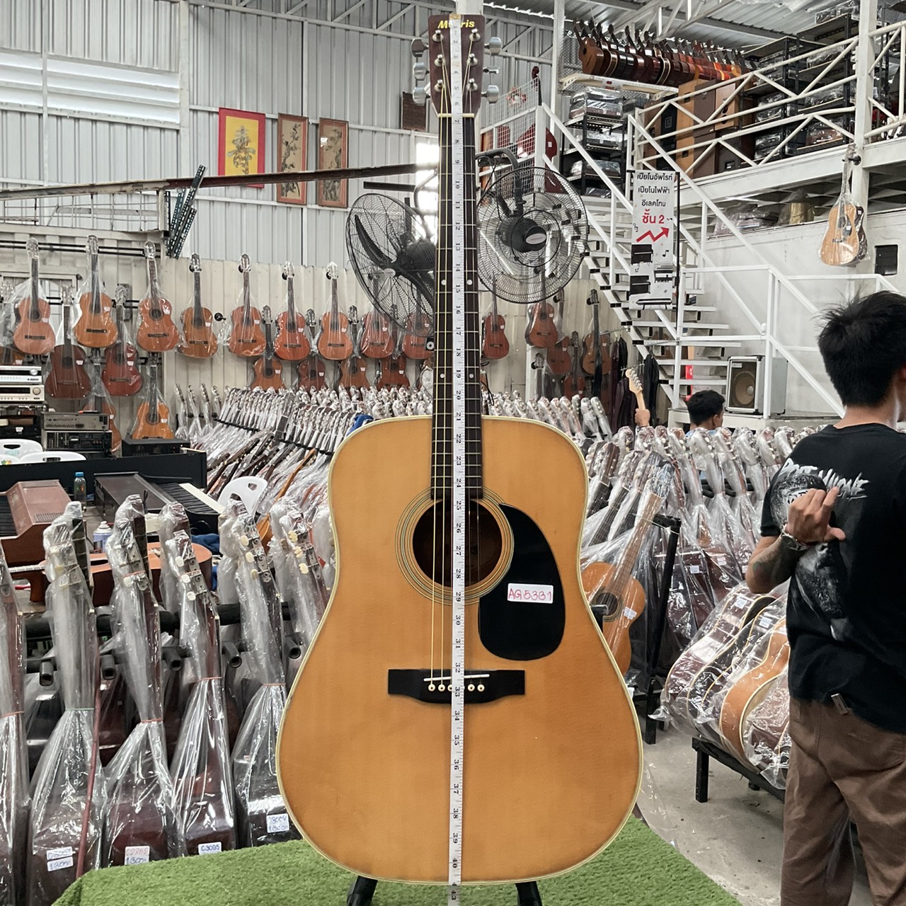 กีต้าร์โปร่ง Morris : W-18