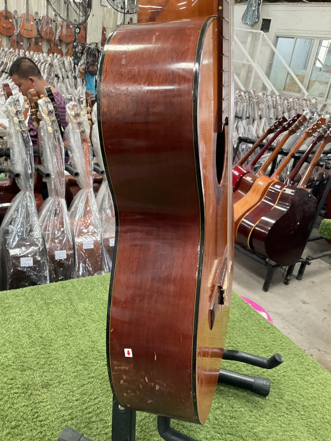 กีต้าร์คลาสสิค 鈴木 (Suzuki) : 34R