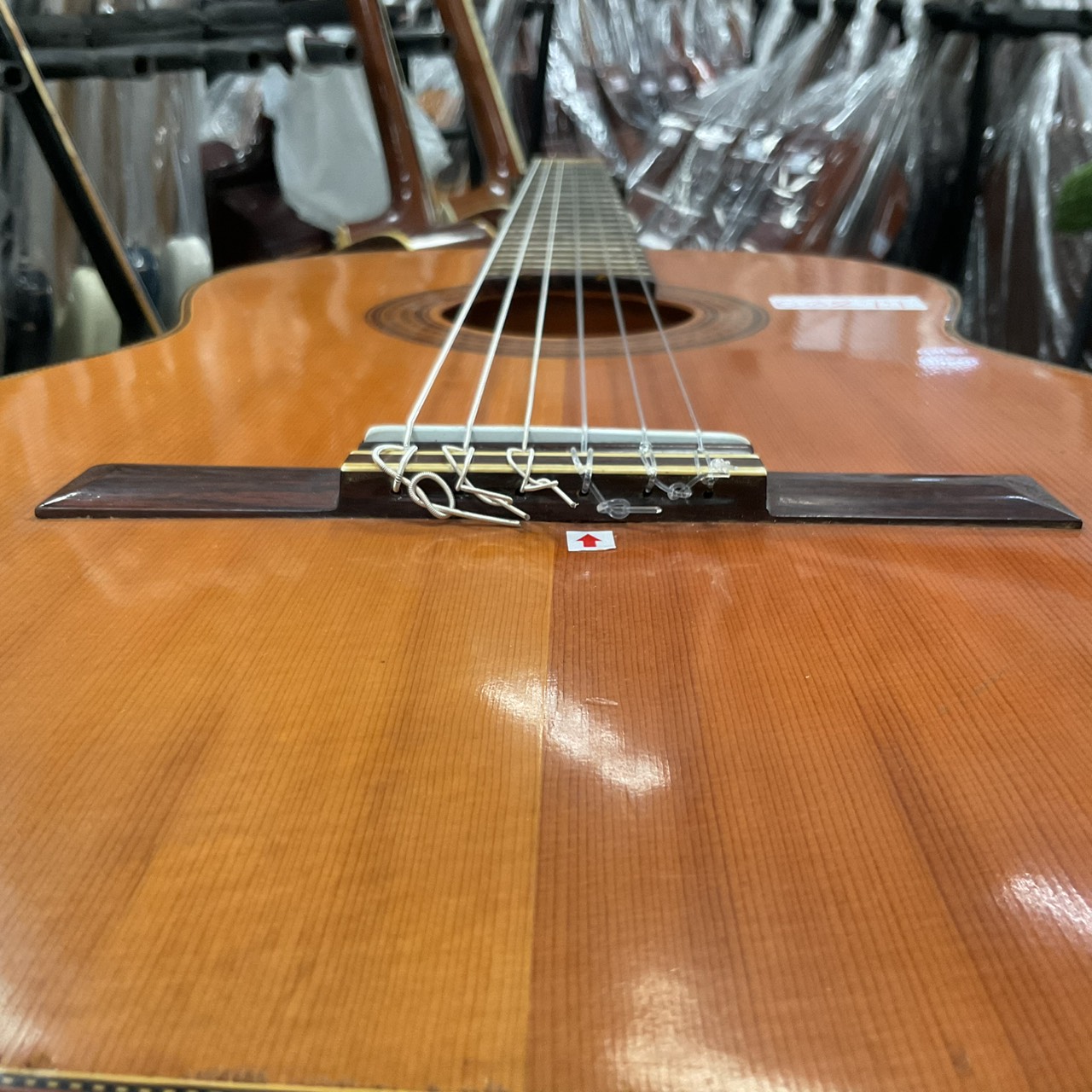 กีต้าร์คลาสสิค HASHIMOTO GUT : No.233