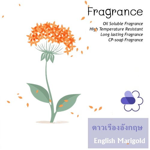 English Marigold หัวน้ำมันหอม ดอกดาวเรืองอังกฤษ aromatic balsamic sweet สดชื่น สดใส บริสุทธิ์และโปร่งเบา ละลายในแอกอฮอล์และน้ำมัน ทนอุณหภูมิสูง ไม่เร่งเทรซ COA