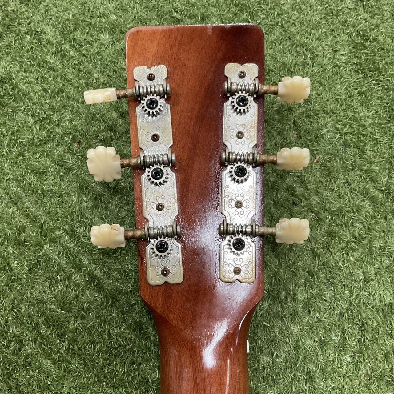 กีต้าร์โปร่ง Great Lake : F-101