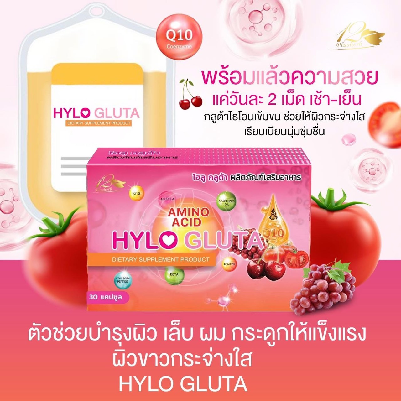 ไฮลูกลูต้า HYLOGLUTA