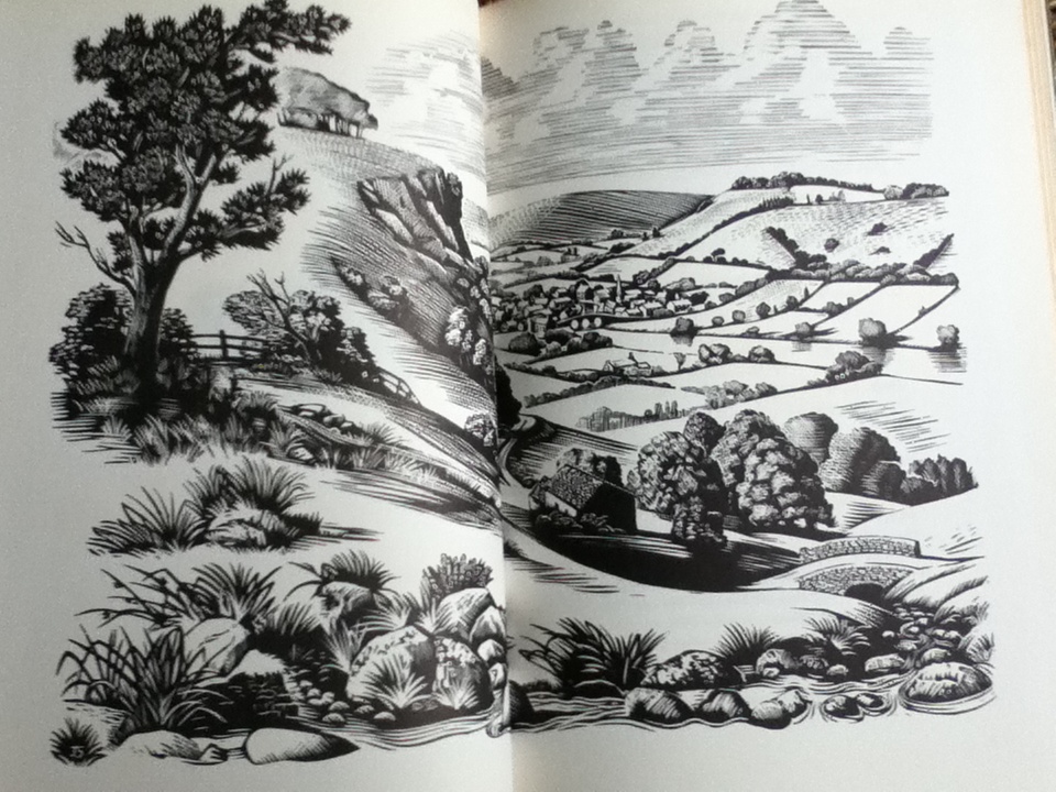 The New Dragon Book of Verse/ Edited by Michael Harrison and Christopher Stuart-Clark