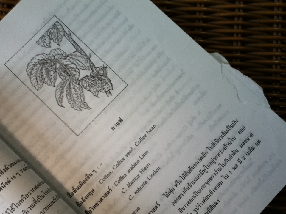 สมุนไพรน่ารู้/ วันดี กฤษณพันธ์