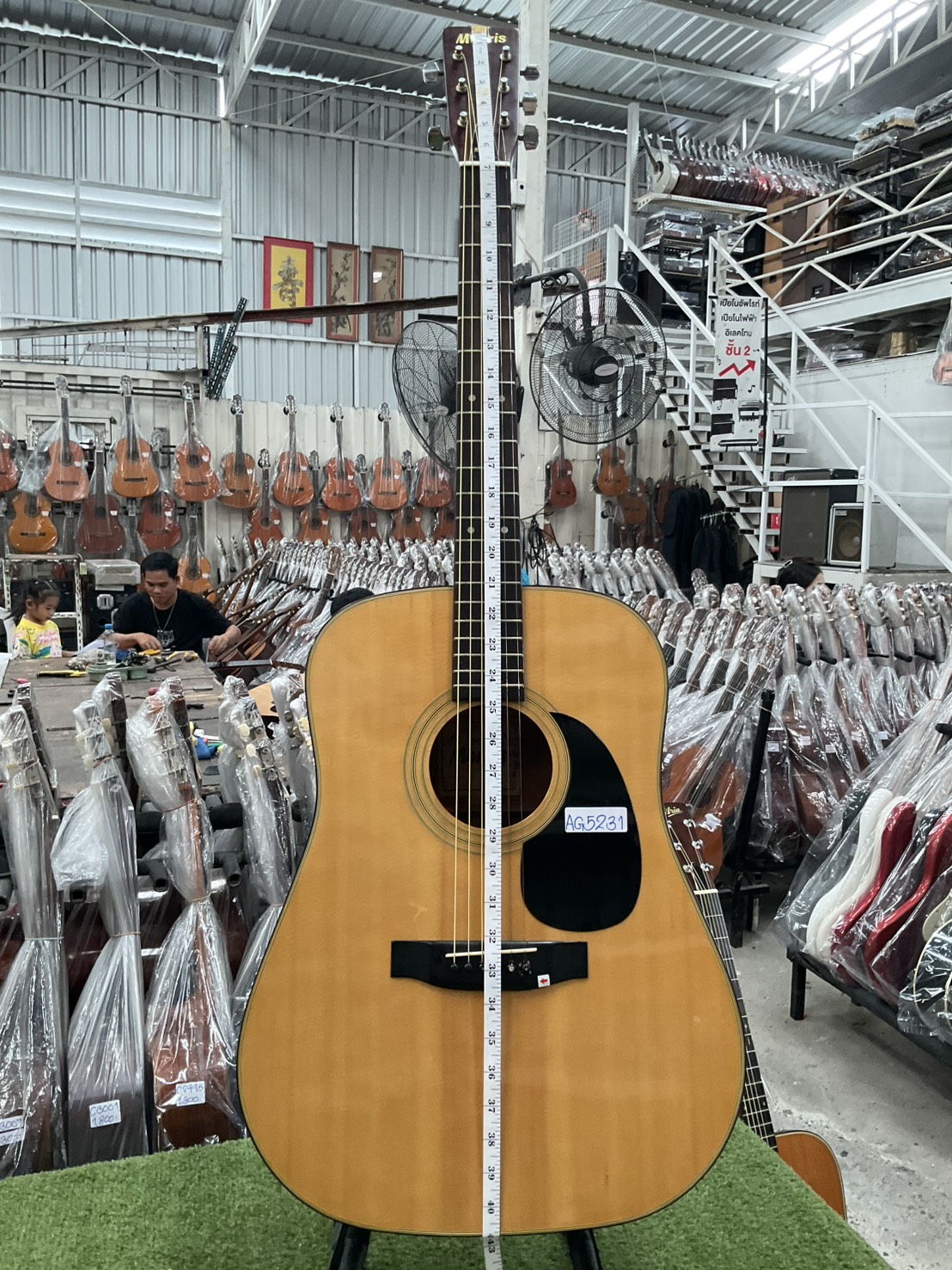 กีต้าร์โปร่ง Morris : W-15