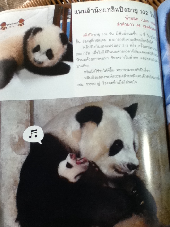 แพนด้าน้อยหลินปิง/ กองบรรณาธิการสำนักพิมพ์อมรินทร์