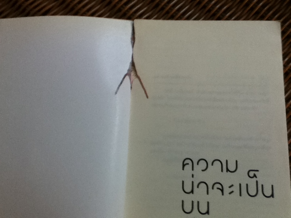 ความน่าจะเป็นบนเส้นขนาน/ วินทร์ เลียววาริณ, ปราบดา หยุ่น **แถมฟรีเมื่อซื้อครบ 500 บาท**