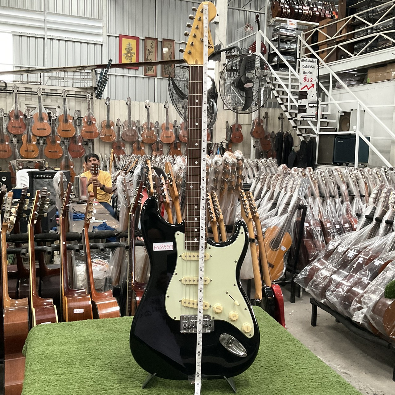 กีต้าร์ไฟฟ้า Bloom