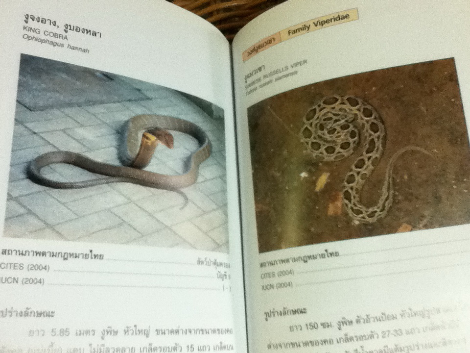 คู่มือจำแนกสัตว์ป่า เพื่องานป้องกัน และปราบปรามการลักลอบค้าสัตว์ป่า