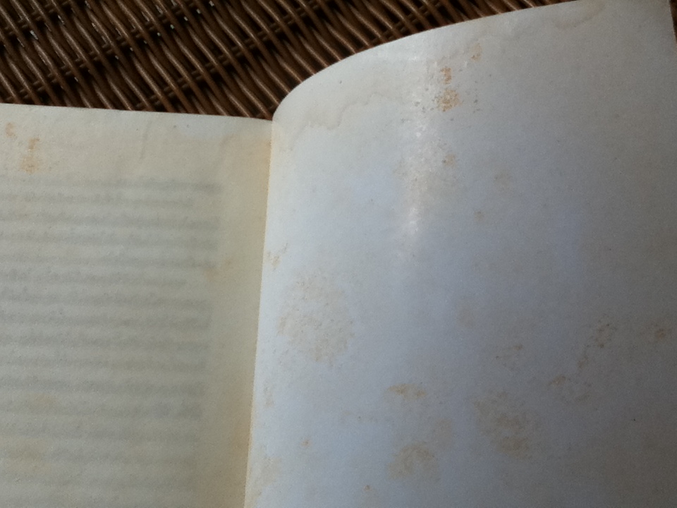 ชีวิตสอนอะไรเราบ้าง/ อลิซาเบธ คืบเลอร์-รอสส์, เดวิด เคสเลอร์